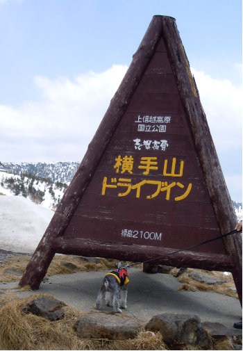 人気の撮影場所