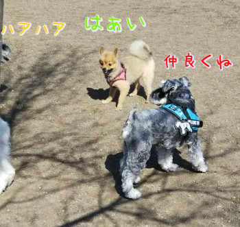 001.jpg