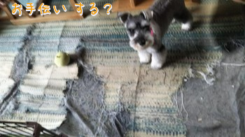 01.jpg