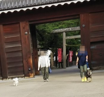 02.jpg