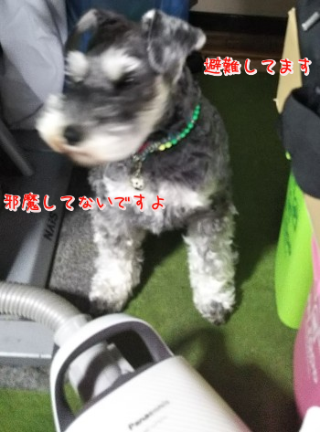 02.jpg