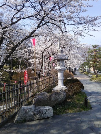 03.jpg
