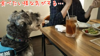 04.jpg