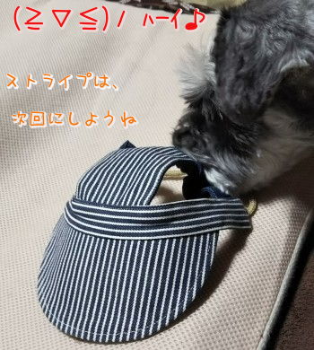 06.jpg