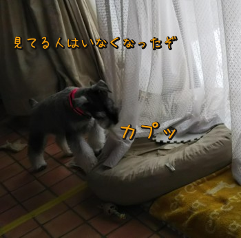 06.jpg