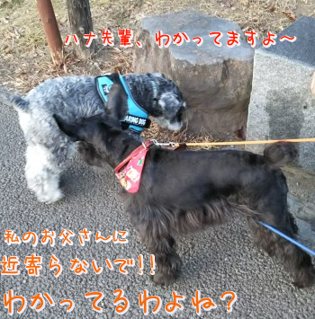 06.jpg