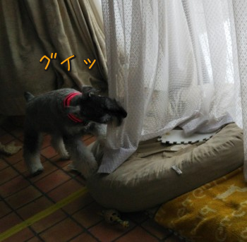 07.jpg