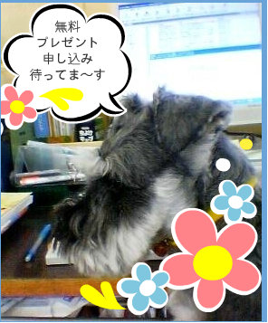 0707041.jpg