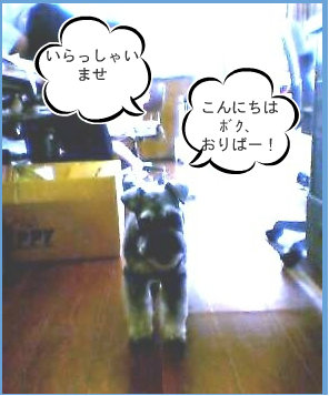 0709021.jpg
