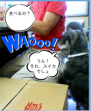 0709022.jpg
