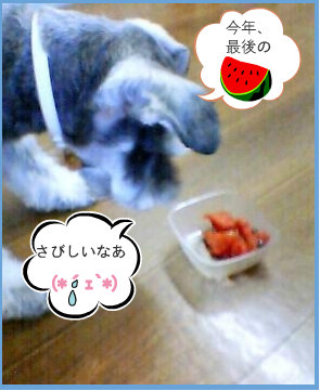 0709023.jpg