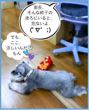 0709202.jpg