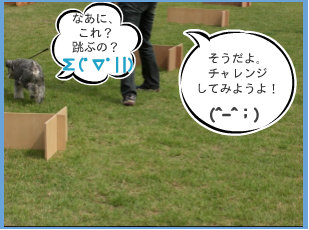 0709251.jpg