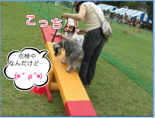 0709263.jpg