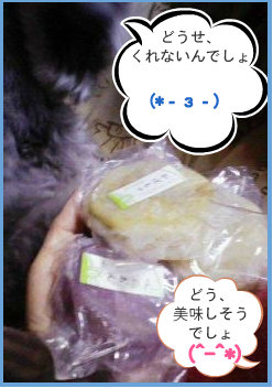 0712131.jpg