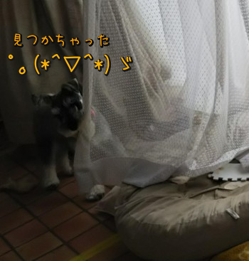 08.jpg