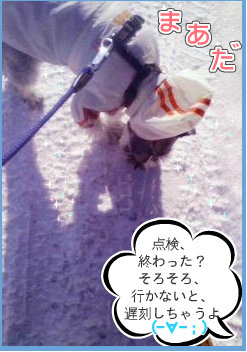 0802041.jpg