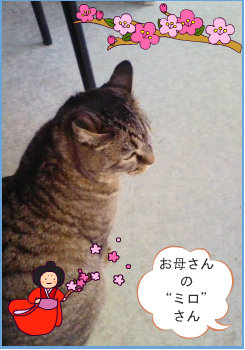 0903032.jpg