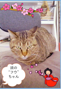 0903033.jpg