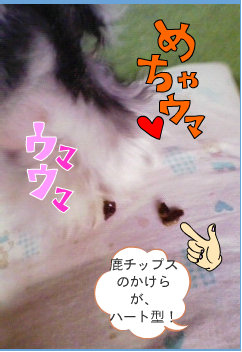 0904013.jpg