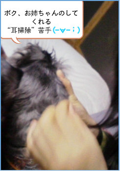 0905012.jpg