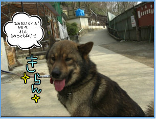 1004012.jpg