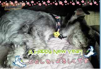 1201011.jpg