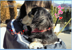1201013.jpg