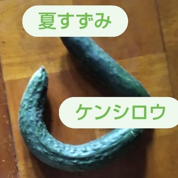 20210704002555113.jpg