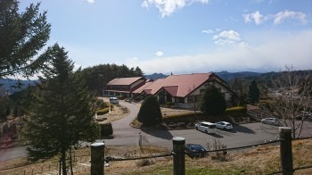 35.jpg