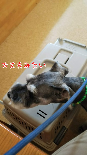 56.jpg