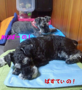 8月.jpg