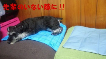 8月1日3.jpg