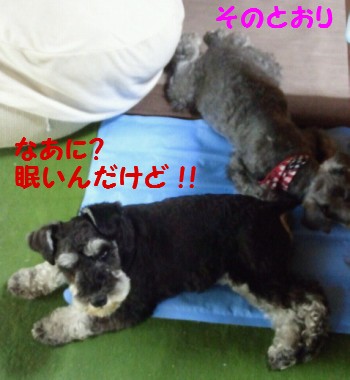 8月1日.jpg
