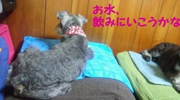 8月1日2.jpg
