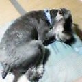 つかれたあ〜やっぱり、お家が一番!.JPG