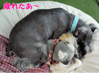 充実感♪