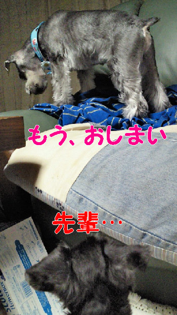 おしまい.jpg