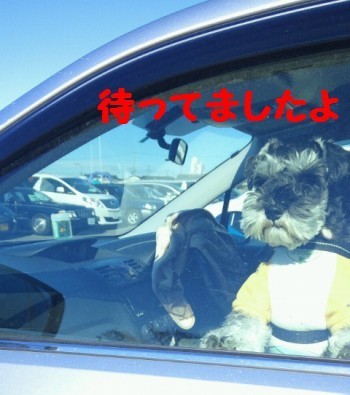 おでかけ1.jpg