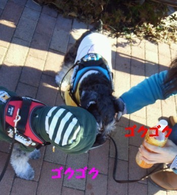 おでかけ2.jpg
