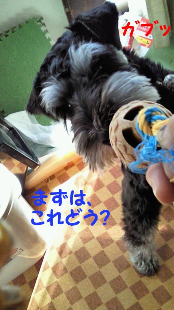 おもちゃ1.jpg