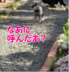 おりばー、どこ?.