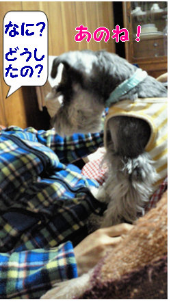 お腹の上で.jpg