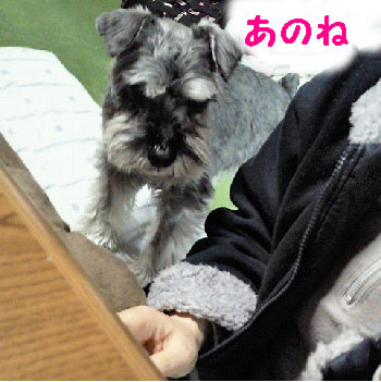 お願い.jpg