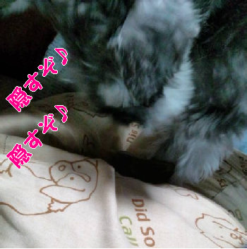 がんばる、おりばー.jpg