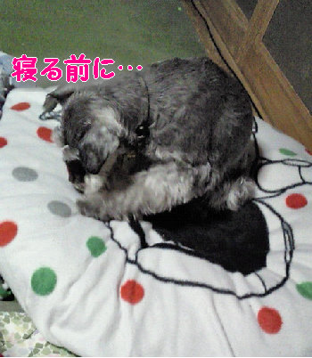 ここで寝るんだ.jpg