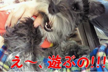そして.jpg