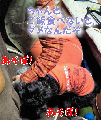 で.jpg