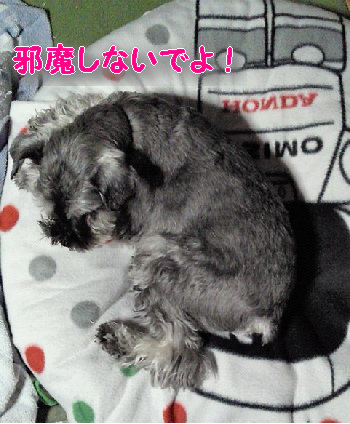 なにか.jpg