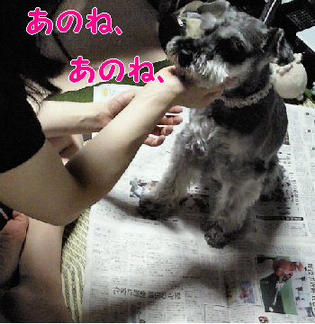 抗議